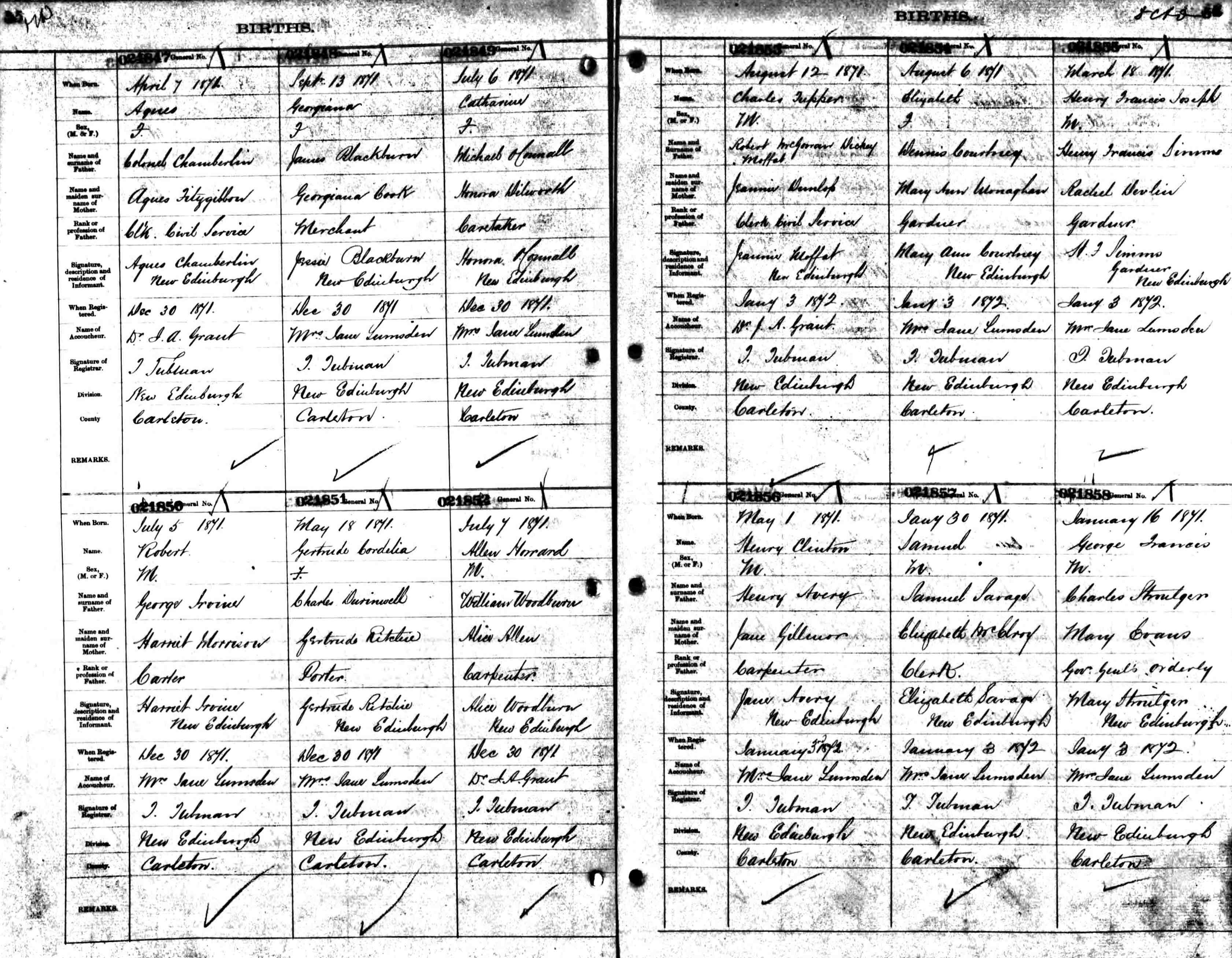 birth record - agnes chamberlin 1871.jpg