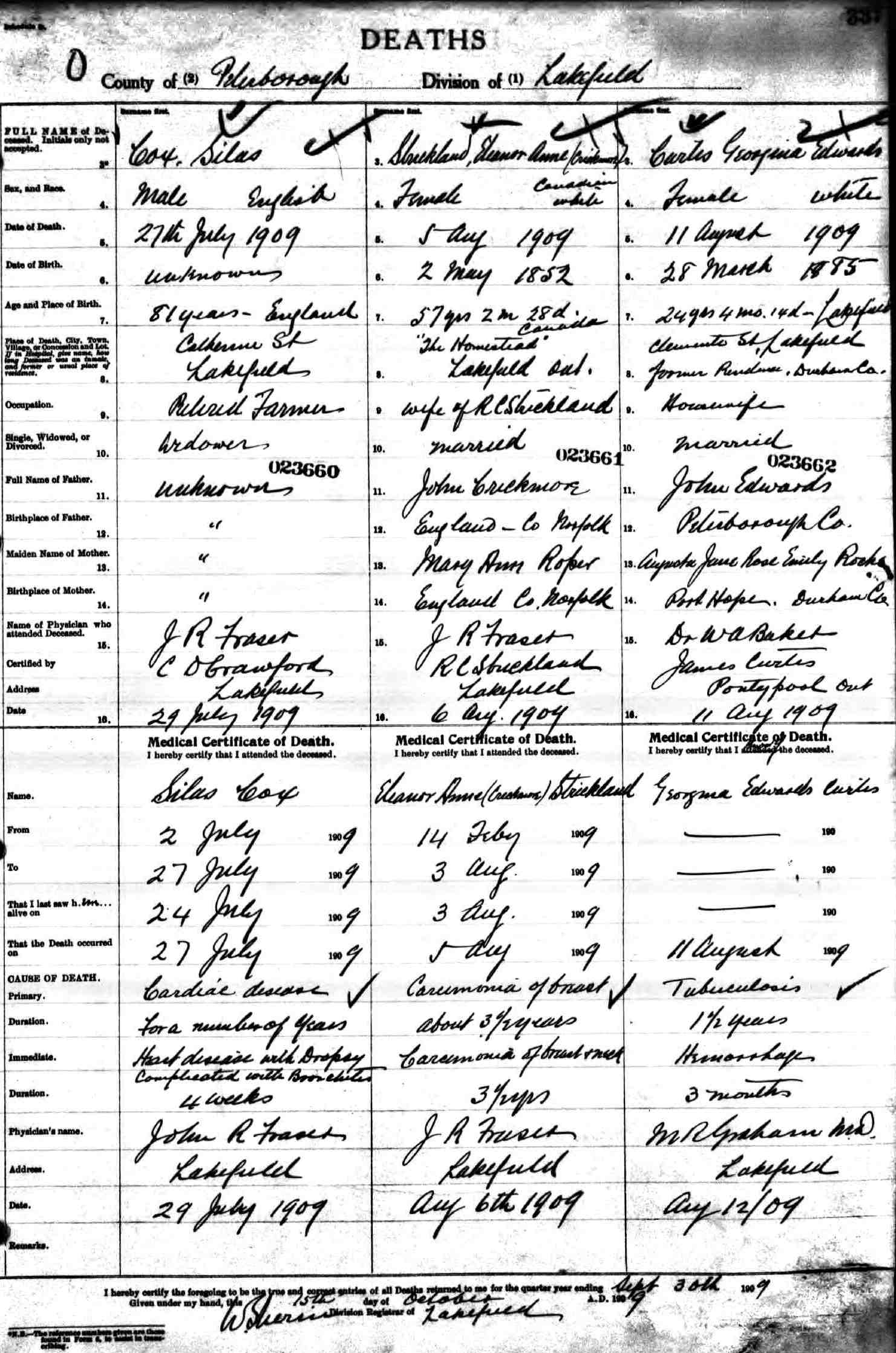 death record - eleanor anne strickland nee crickmore 1909.jpg