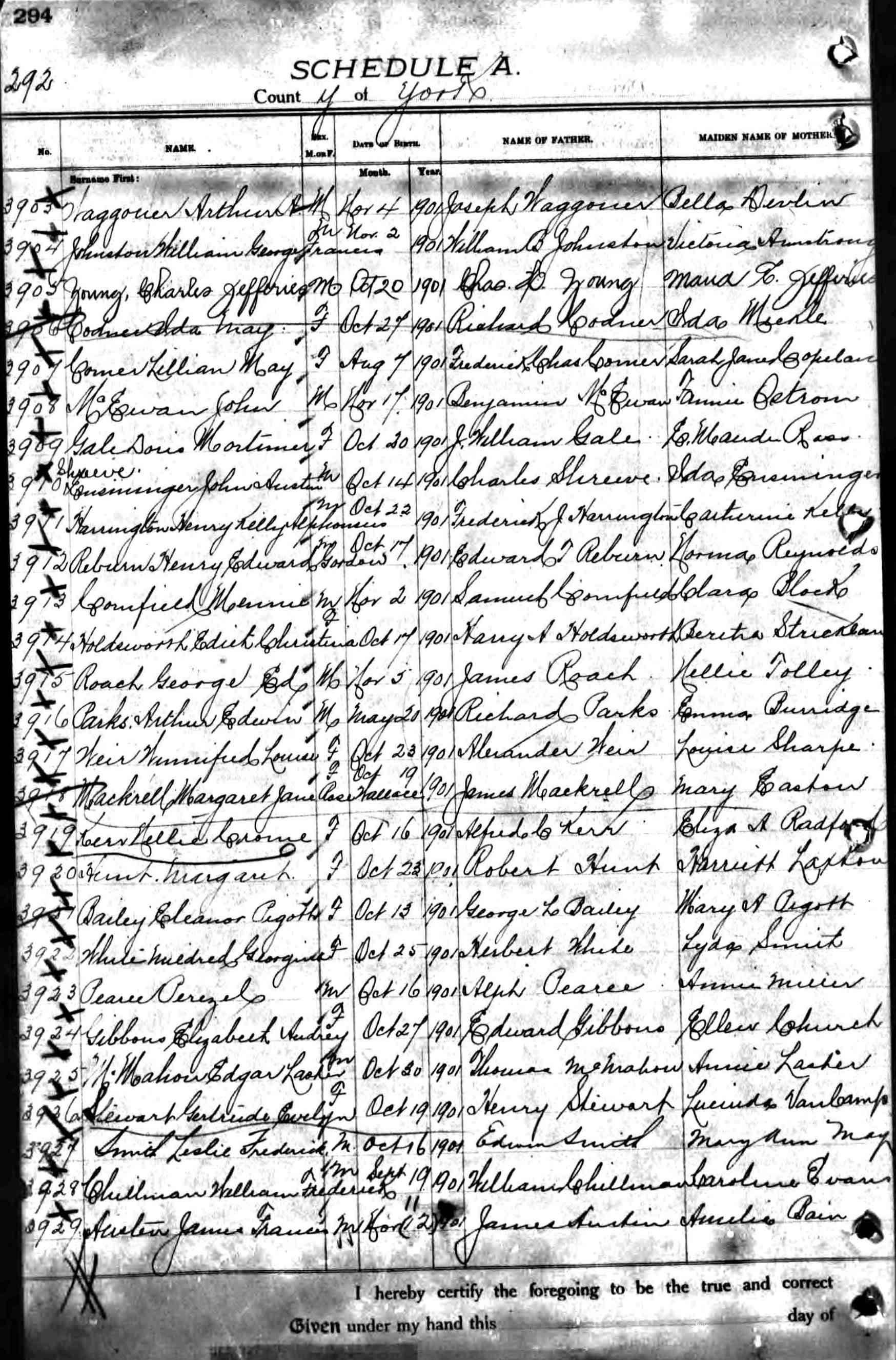 birth record - edith christina holdsworth.jpg