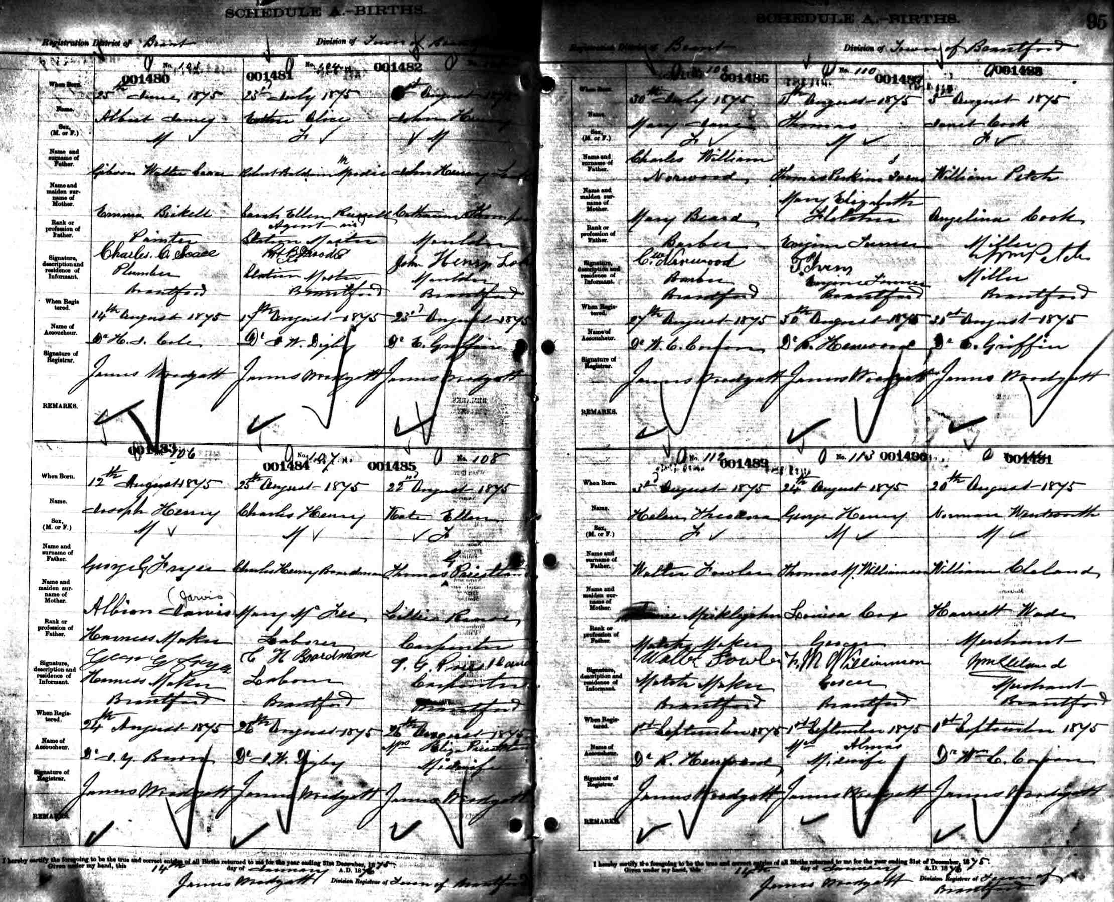 birth record - esther alice moodie 1875.jpg