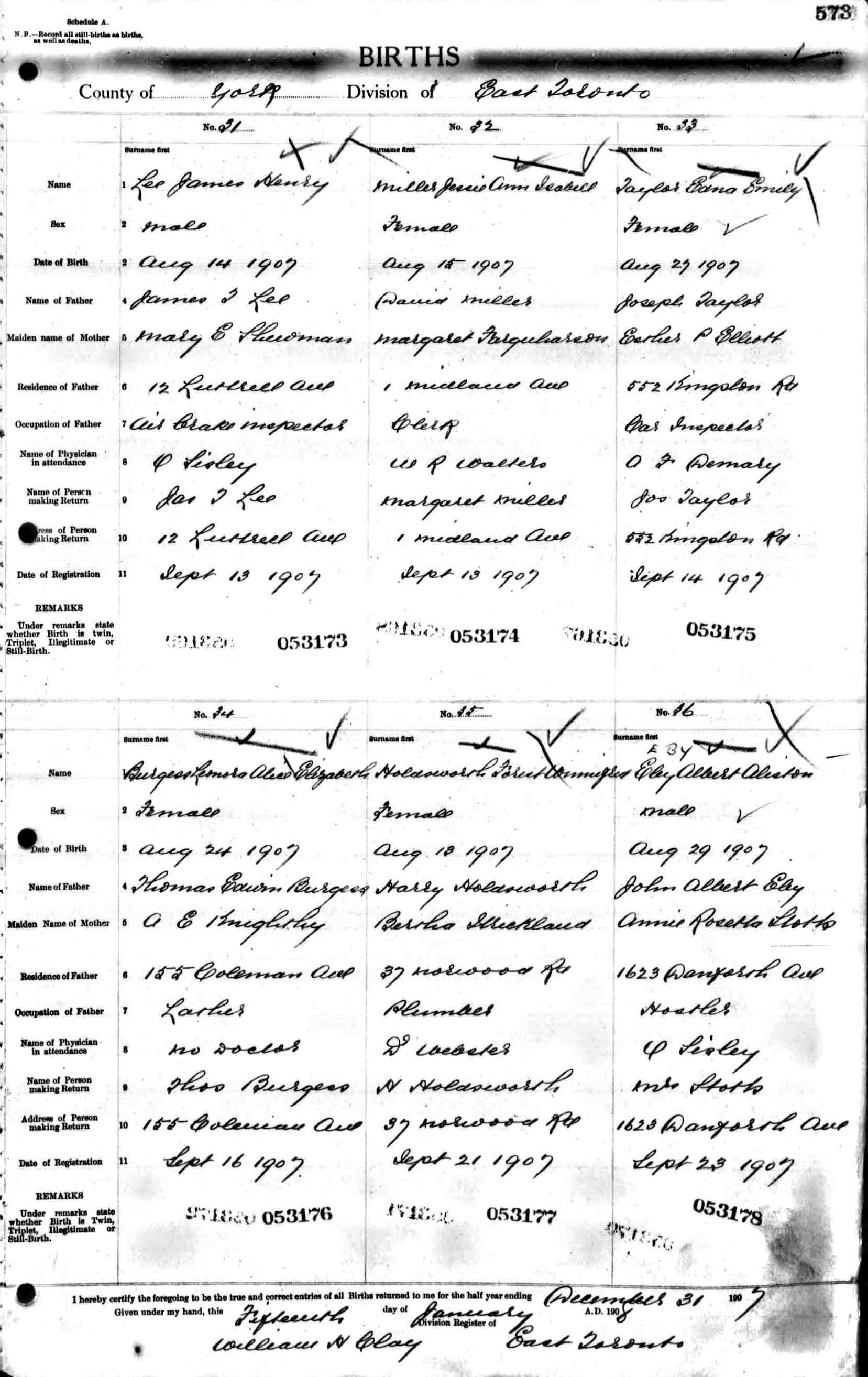 birth record - forest winnifred holdsworth.jpg