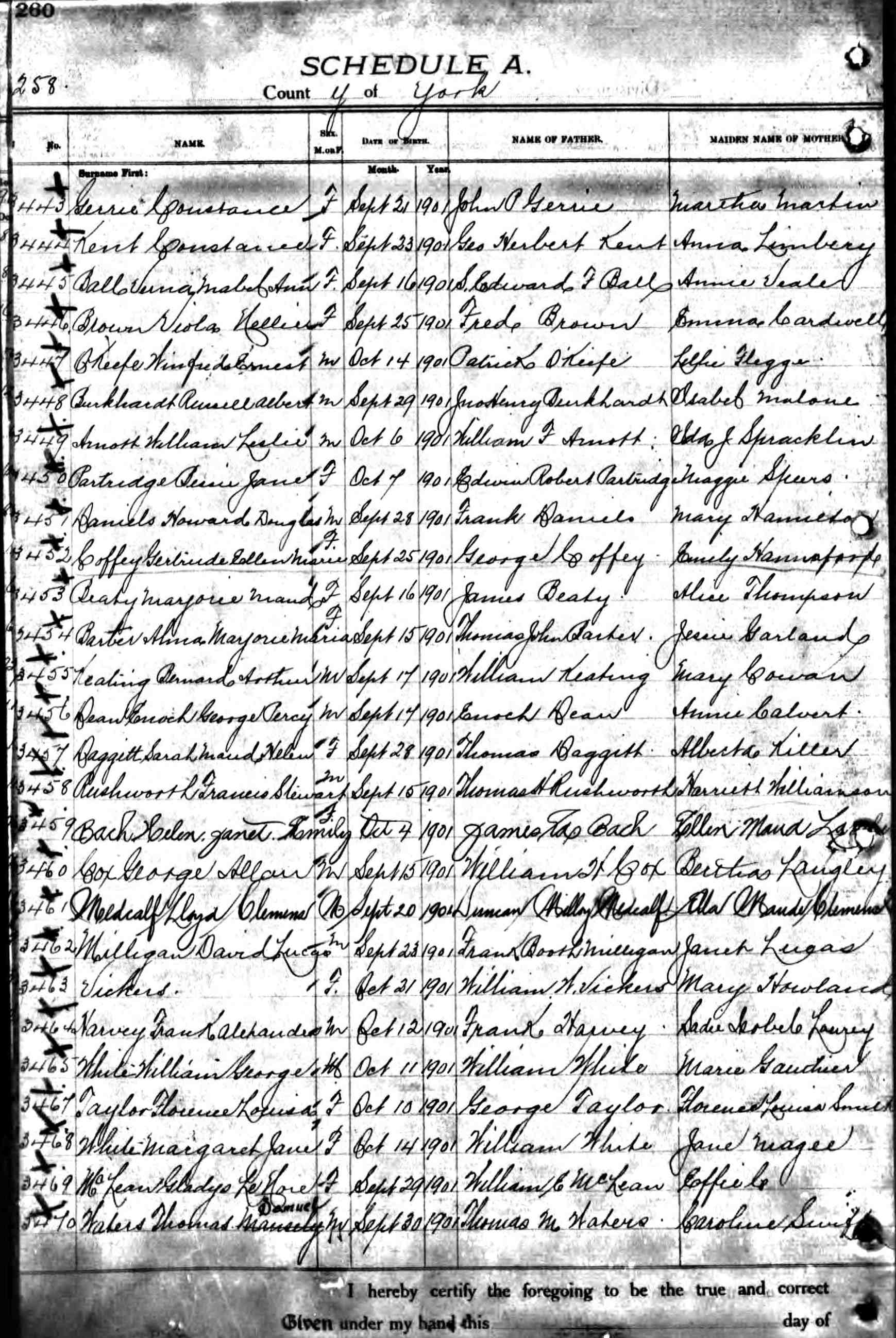 birth record - unnamed female vickers 1901.jpg