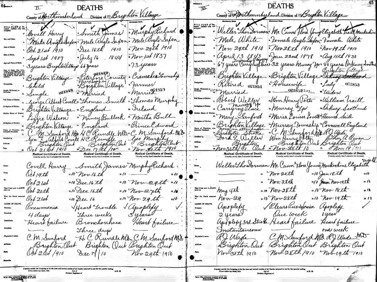 death record - elizabeth mackechnie nee traill 1910.jpg