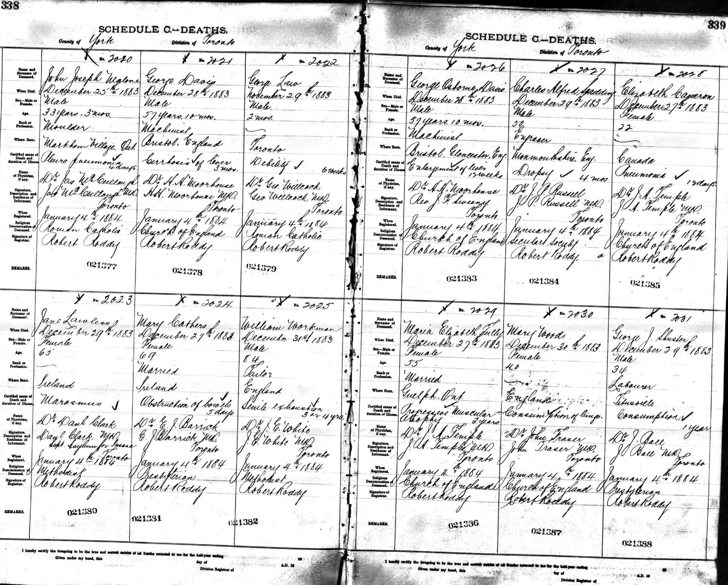 death record - maria elizabeth tully nee strickland 1883.jpg