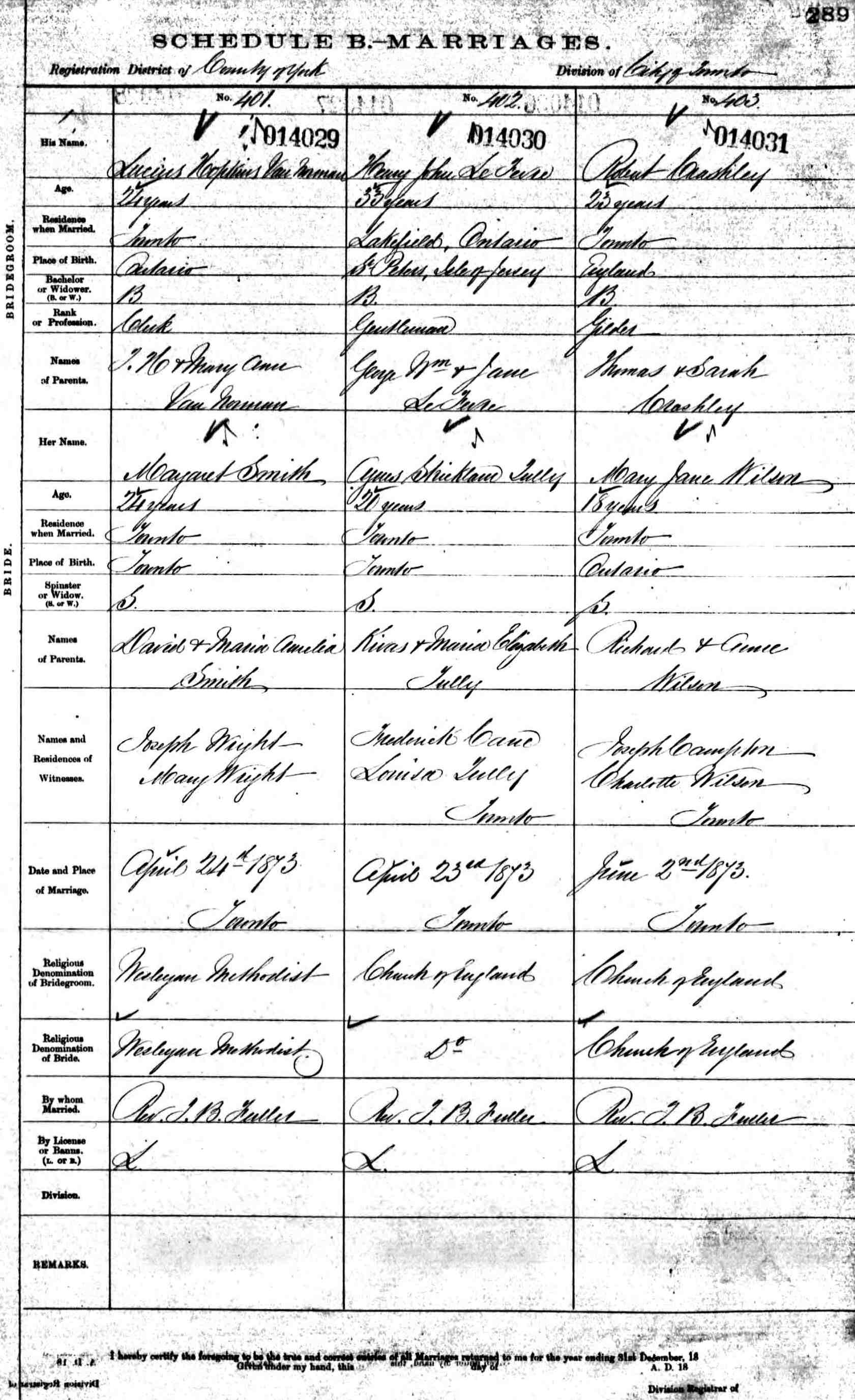 marriage record - henry lefevre + agnes strickland tully 1873.jpg